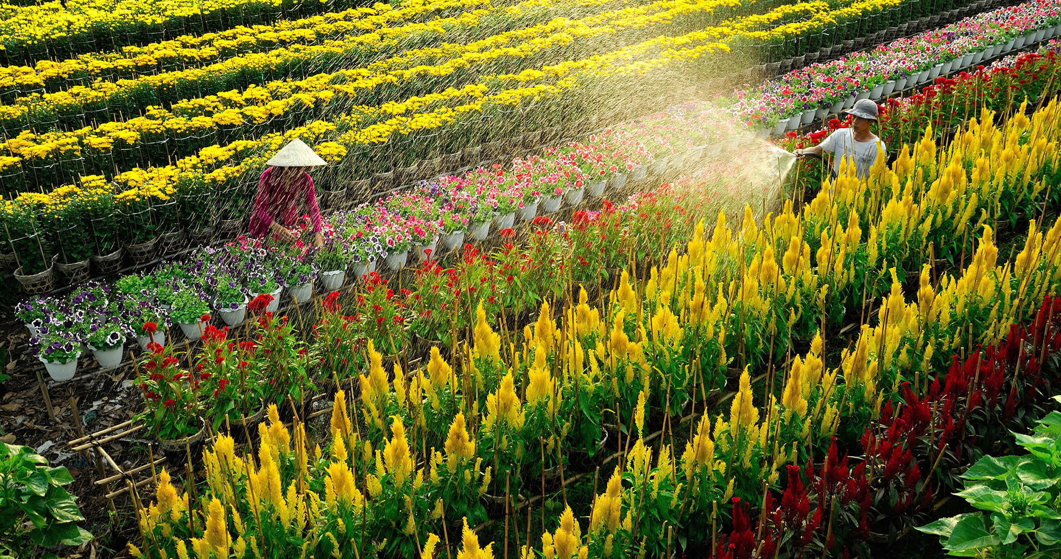 kinh nghiệm đi Miền Tây 30/4 kinh nghiệm đi Miền Tây 30/4